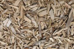 biomass boilers Portincaple